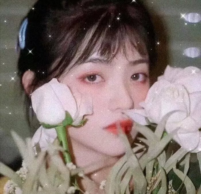 太阳之血